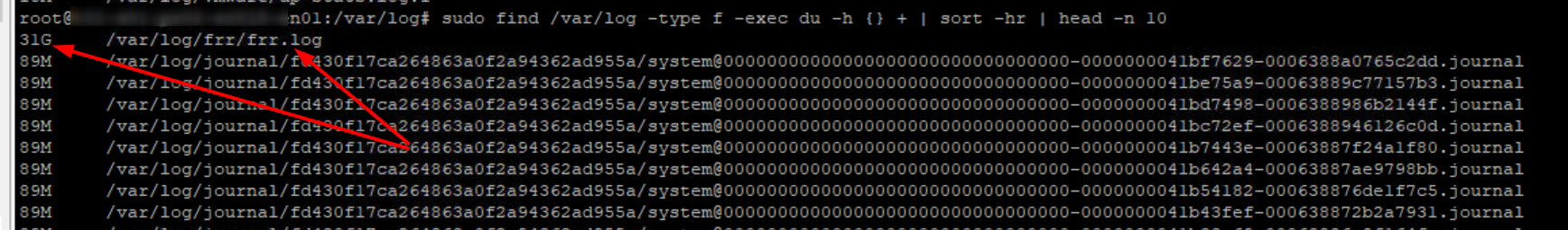 Edge-Node-Disk-Space-Large-FRR-log-file